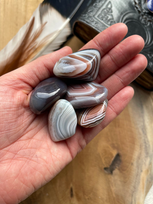 Achat (Botswana) Trommelstein