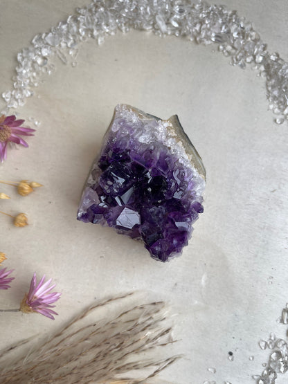 Amethyst Cluster Uruguay