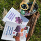 Edelsteinset für Anfänger mit Amethyst Rosenquarz Bergkristall und weiteren Heilsteinen