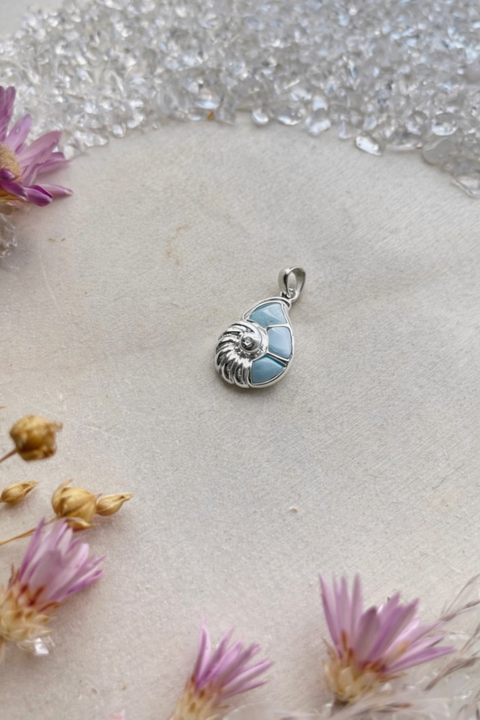 Larimar Anhänger Nautilus (925 Silber)